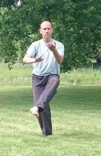 Eric Dupas pratiquant le Tai Chi Chuan devant un chêne multi-centenaire pour l'association Tai Chi Pour Tous, Rennes